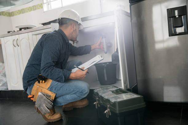 Best Plumbing Services Near Me  in Arlington, MN