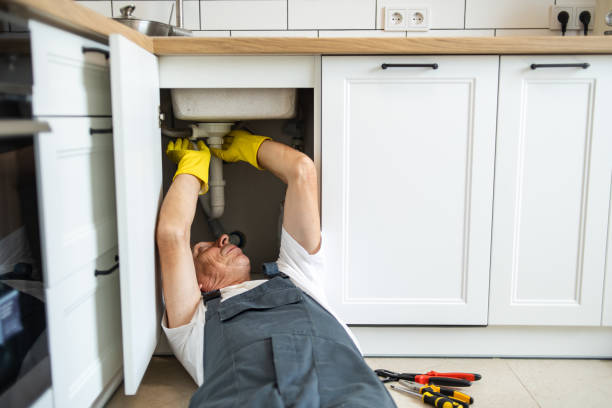 Best Septic Systems  in Arlington, MN